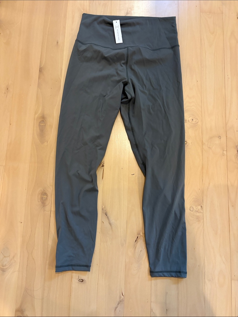 NWT Gentle fawn leggings